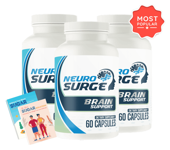 NeuroSerge Cognitive Performance